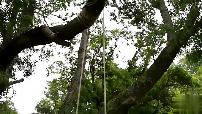 Jeu De Jardin Avec Une Petite Amie Aux Gros Seins