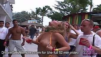 Bikini-Clad Bunnies Flashing Pussy At Outdoor Party